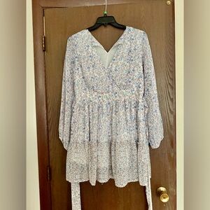 Japna ditsy floral long-sleeve ruffle mini dress.